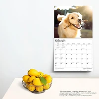 BrownTrout For the Love of Golden Retrievers 2024 14x24 Inch Deluxe Wall Calendar, 9781975468590