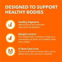 Iams Proactive Health Adult Indoor Weight & Hairball Care Dry Cat Food with Salmon 1.6kg