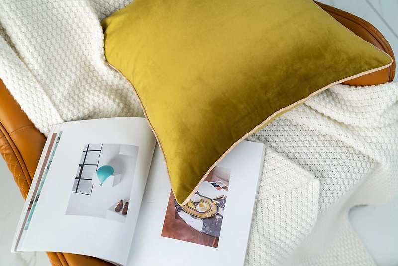 Gouchee Home Solid Velvet Coussin