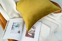 Gouchee Home Solid Velvet Coussin