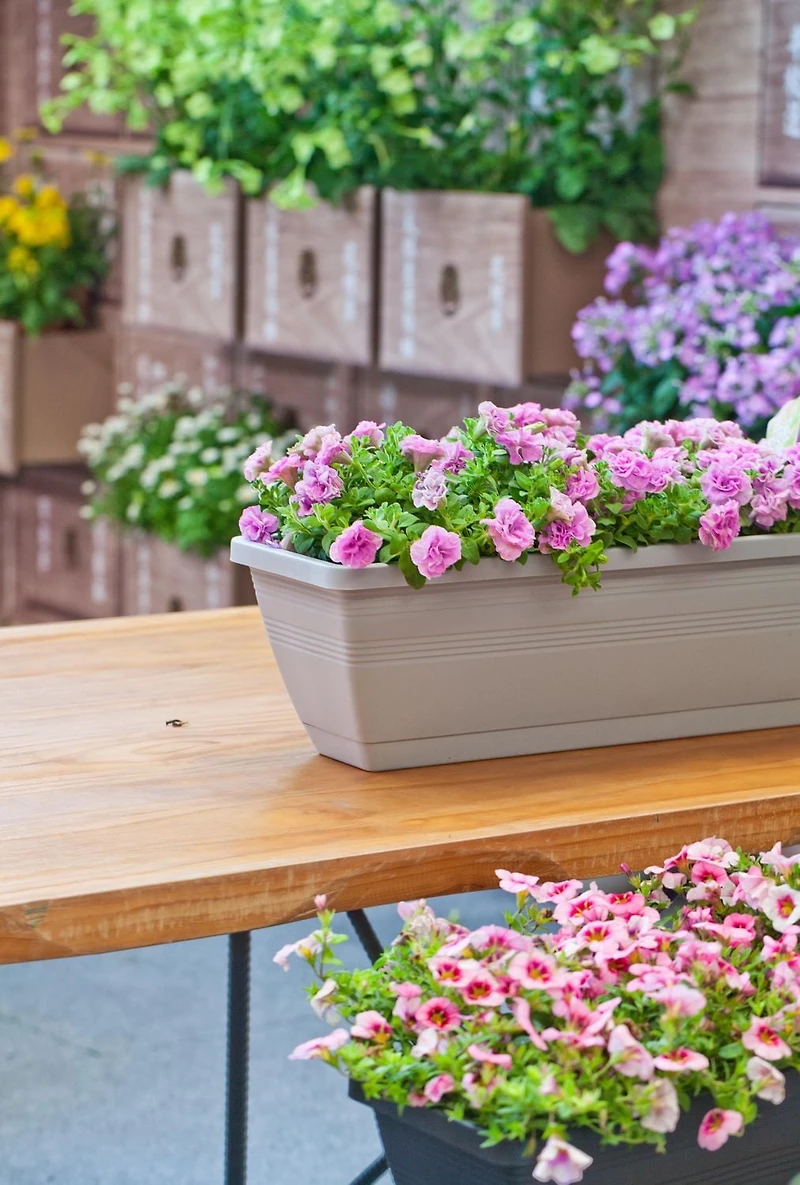 Hometrends Jardinière avec systèmed'auto-irrigation de 61 cm Jardinière avec systèmed'auto-irrigation de 61 cm