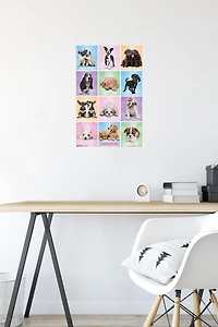 Keith Kimberlin - Puppies - Cuties Grid Wall Poster, 22.375" x 34"