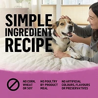 Beyond Simply Recette de Boeuf Élevé dans une Ferme, d’Orge et d’Oeufs de Poules en Liberté, Nourriture Sèche pour Chiens 1,67-5 kg