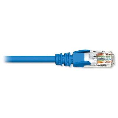 Premium Retail Cat6 Patch Cable - 75ft