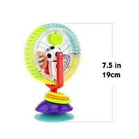 Roue des Merveilles Sassy®
