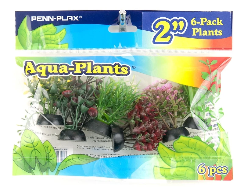 Penn Plax Aqua-Plantes D'Aquarium Décorations