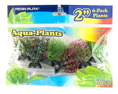 Penn Plax Aqua-Plantes D'Aquarium Décorations