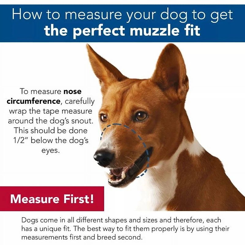 Coastal Pet Products Best Fit Adjustable Comfort Dog Muzzle