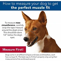Coastal Pet Products Best Fit Adjustable Comfort Dog Muzzle