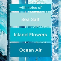 Glade PlugIns® Scented Oil 5 Refills - Aqua Waves™
