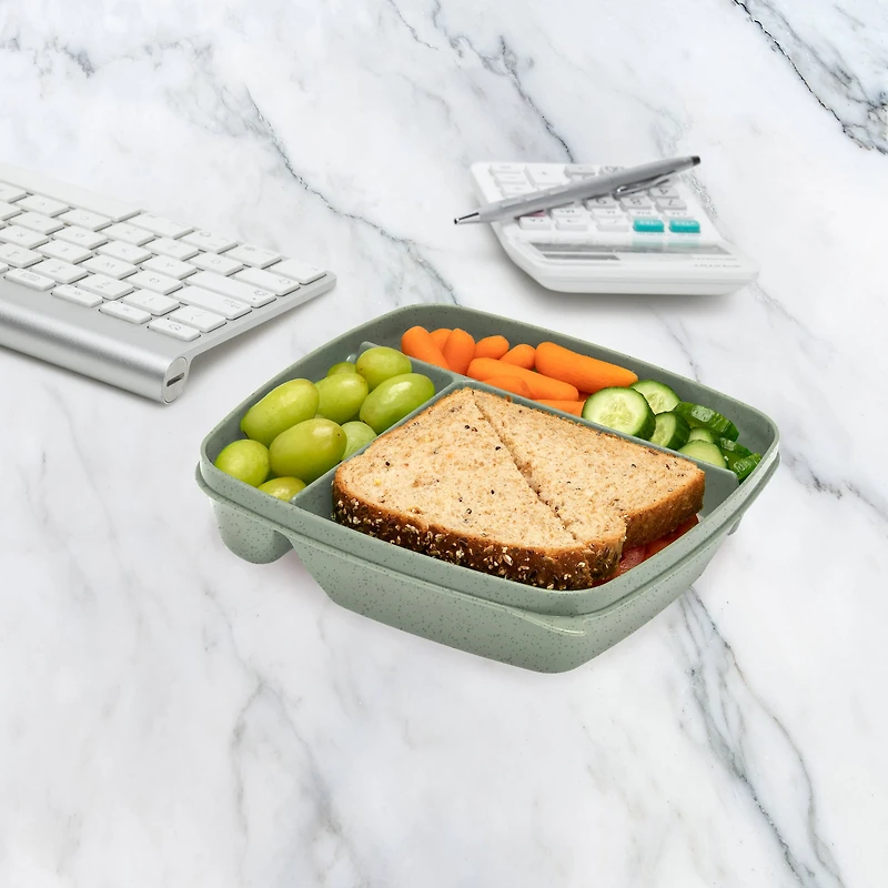 Joie Meal Seal Bento Boxes Assorted, Set of 3