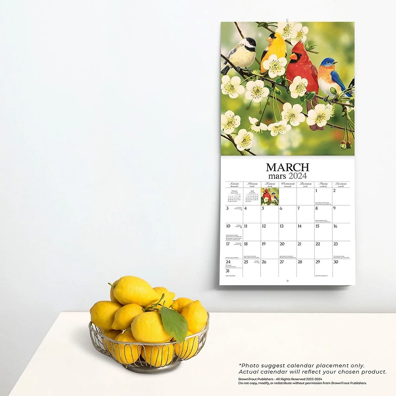 Hopper Studios Feathered Friends Amis a Plumes 2024 12x24 Inch Square Wall Calendar, 9781773728063