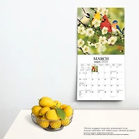 Hopper Studios Feathered Friends Amis a Plumes 2024 12x24 Inch Square Wall Calendar, 9781773728063