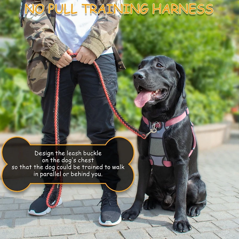 Jespet Padded Front Dog Harness