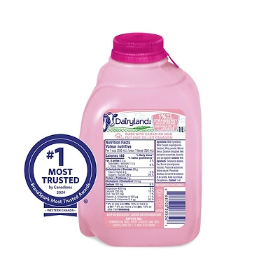 Dairyland Breuvage de lait à la fraise 1 % 1 litre