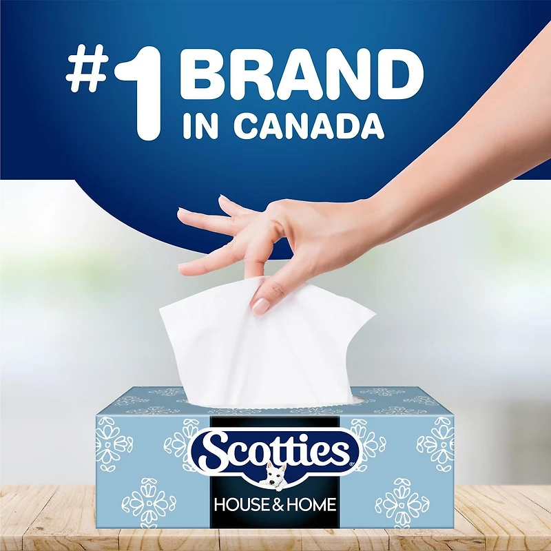 Scotties Original Everyday Care Facial Tissue, Hypoallergenic and Dermatologist Tested, 9 Boxes, 126 Tissues per Box, 9 Boxes, 126 Tissues per Box