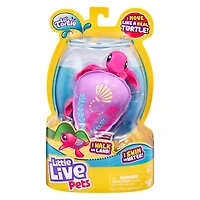 Little Live Pets Lil' Turtle Single Pack - Sandy