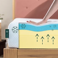 Matelas en mousse à mémoire de forme Zinus Green Tea de 8 pouces