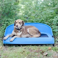 Gen7Pets Cool-Air Cot 36"