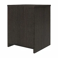 Ameriwood Home End Table