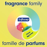 Softsoap Antibacterial Liquid Hand Soap Pump, Fresh Citrus - 332 ML, Liquid Soap