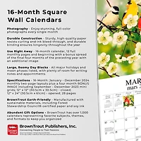 Hopper Studios Feathered Friends Amis a Plumes 2024 12x24 Inch Square Wall Calendar, 9781773728063