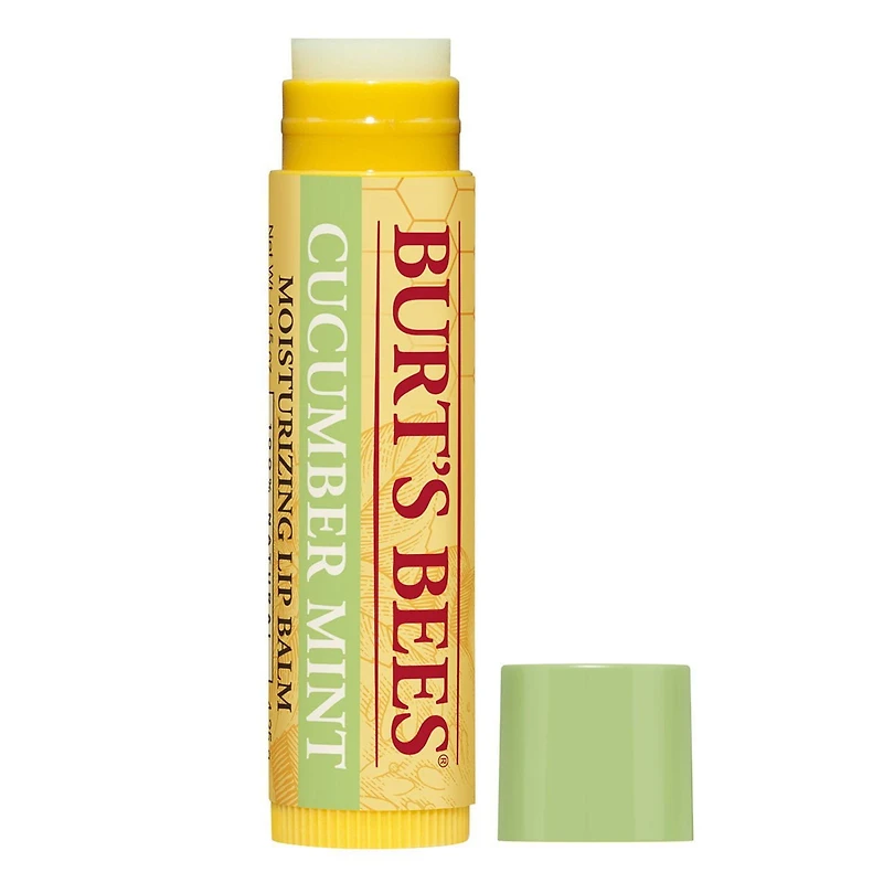 Burt’s Bees® 100% Natural Moisturizing Lip Balm, Cucumber Mint -, 2 Tube