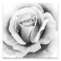 Artissimo Designs Black & White Rose Printed Acrylic - 11.75W x 11.75H x 1D