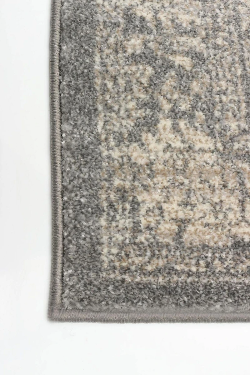ECARPET Area Rug for Dining Room, Living Room, Bedroom Olivia Collection
