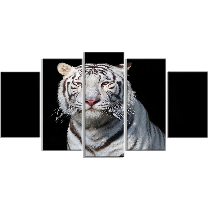 Design Art Superbe Tigre Du Bengale Blanc Art Sur Toile