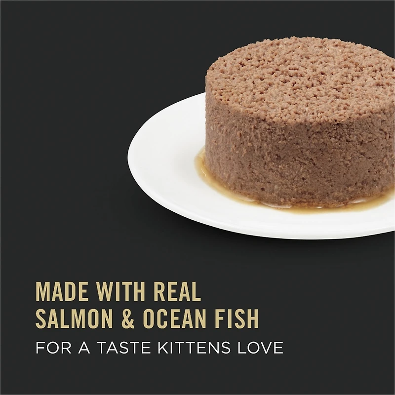 Purina Pro Plan Développement Entrée de saumon et poisson de mer, Nourriture Humide pour Chatons, 85 g