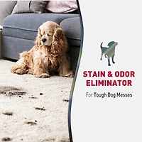 Nature’s Miracle Advanced Stain and Odor Eliminator Dog, 17.5 Ounces, Foam Aerosol, Fresh Scent, Severe Mess Enzymatic Formula For Tough Pet Messes