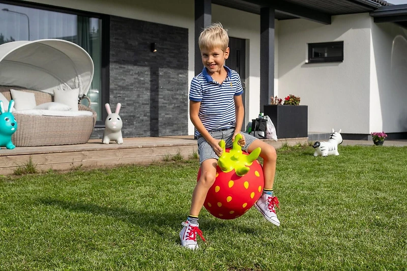 My First Jumpy Fruit, Strawberry, Red