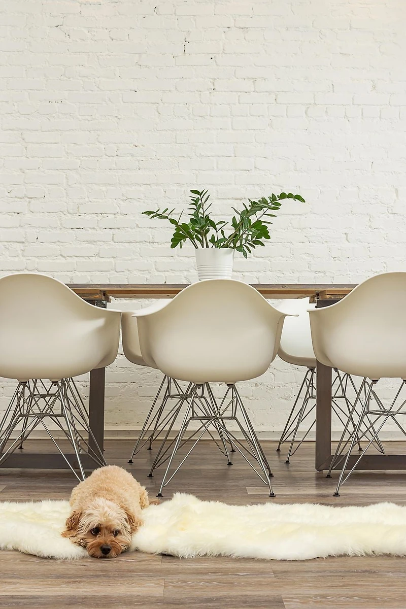 H-Natural New Zealand Sheepskin Rug