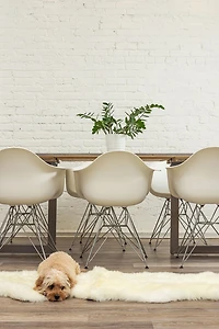 H-Natural New Zealand Sheepskin Rug