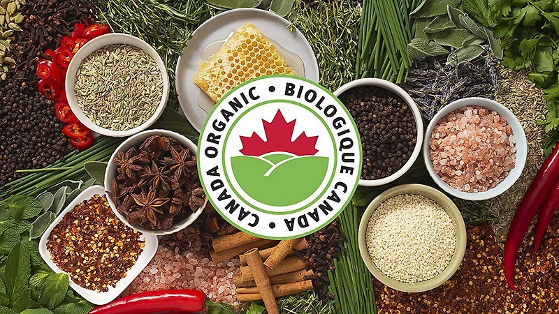 McCormick Gourmet, Assaisonnement Tandoori Bio, 42g