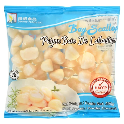 Peigne Baie De L'atlantique par Searay 300 grammes