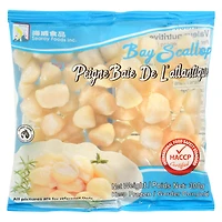 Peigne Baie De L'atlantique par Searay 300 grammes