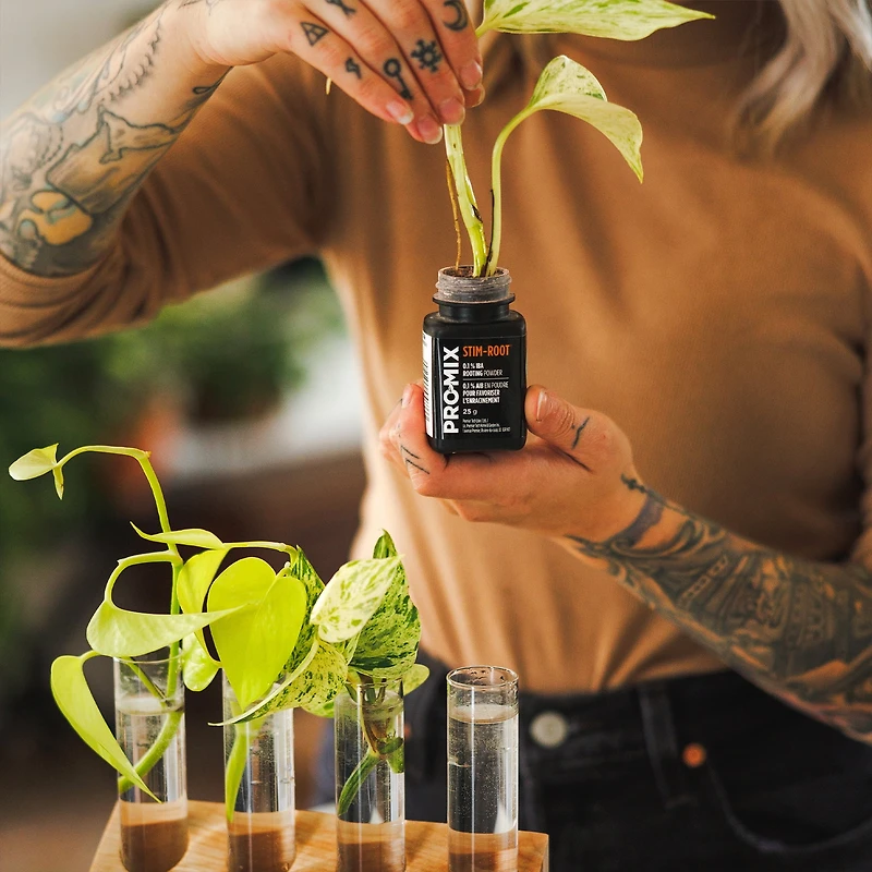 STIM-ROOT® de PRO-MIX®