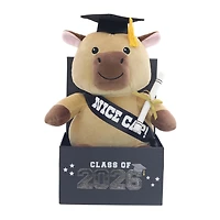 Peluche capybara de la promotion 2026, en coffret cadeau, par Way to Celebrate
