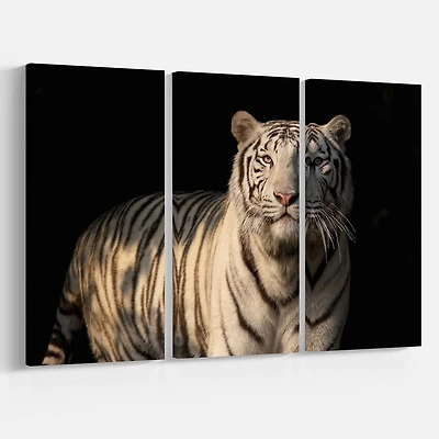 Design Art Tigre De Bengale Blanc Sur Fond Noir Art Sur Toile