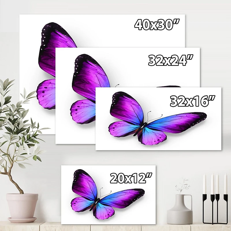 Designart Violet and Blue Butterfly Canvas Wall Art
