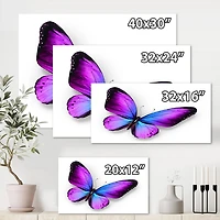Designart Violet and Blue Butterfly Canvas Wall Art