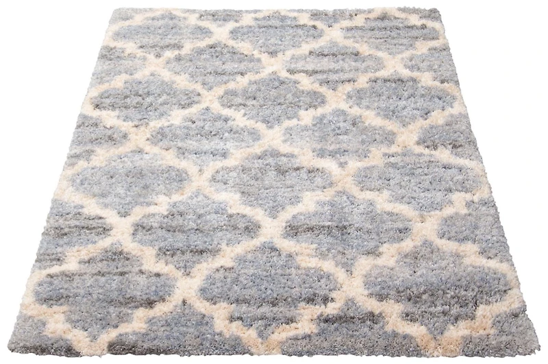 ECARPET Trellis Frieze Area Rug Fluffy Carpet for Bedroom, Ultra Soft & Plush Annica Collection