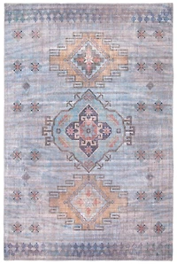 ECARPET Oriental, Persian Style Area Rug, Eco Friendly, Machine Washable