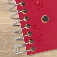 Five Star Cahier 5 sujets, 11 po, 400 pages rouge