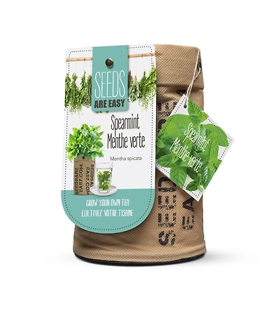 Graines de the a la menthe