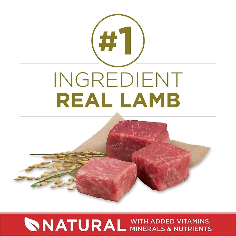Purina ONE Formule Agneau & Riz, Nourriture Sèche pour Chiens 14kg