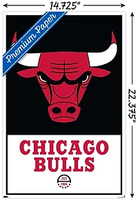 NBA Chicago Bulls - Logo 21 Wall Poster