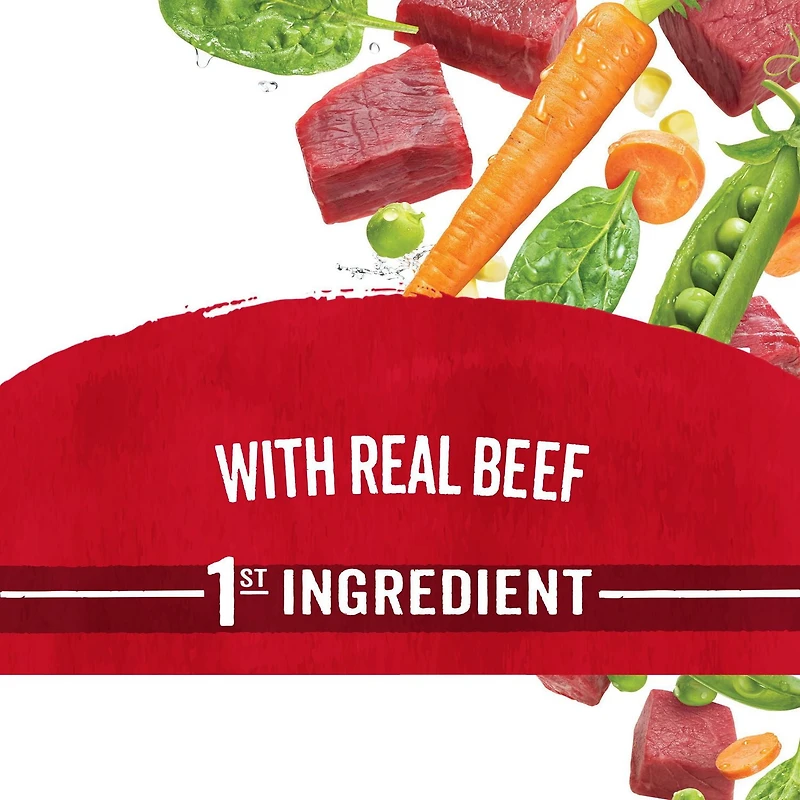 Beneful Originales avec Vrai Boeuf, Nourriture Sèche pour Chiens